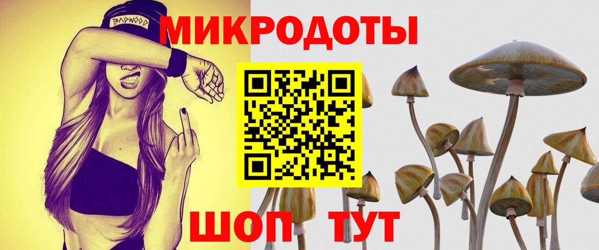 Псилоцибиновые грибы Psilocybine cubensis  Вход с VPN  Пугачёв  что такое   Псилоцибиновые грибы Magic Shrooms 
